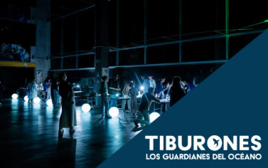 UNA NOCHE EN EL MUSEO - DURMIENDO ENTRE TIBURONES